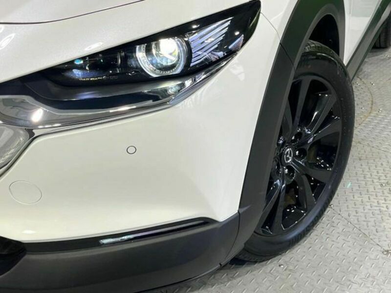 CX-30