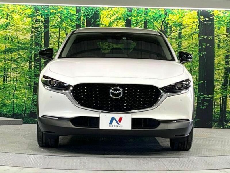 CX-30