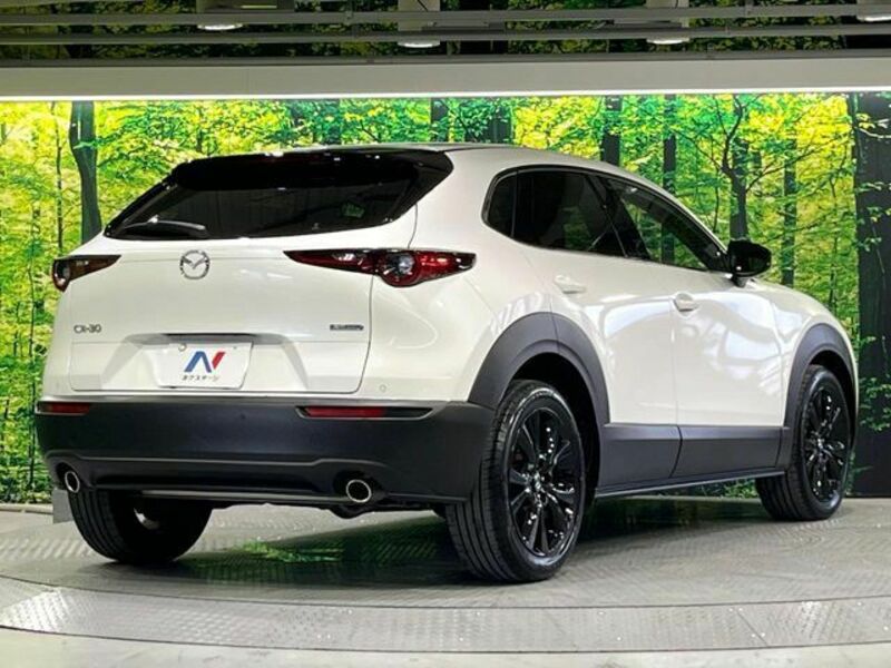 CX-30