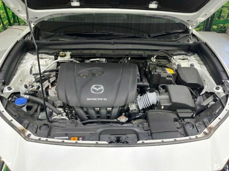 CX-30