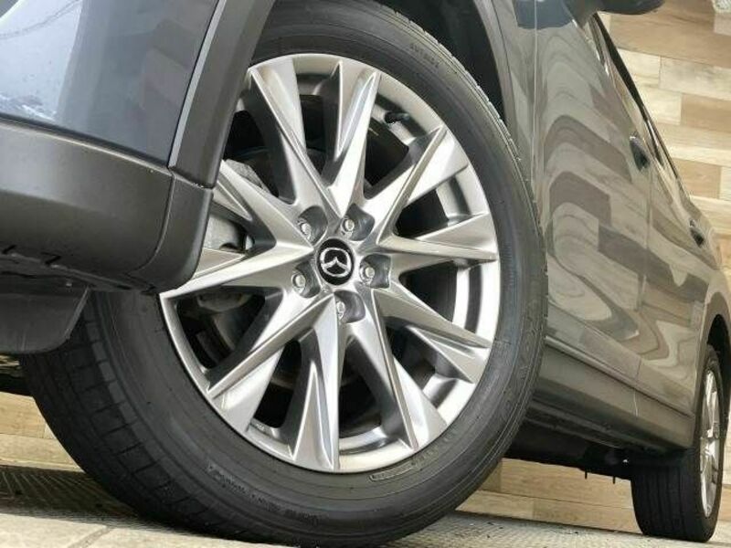 CX-8