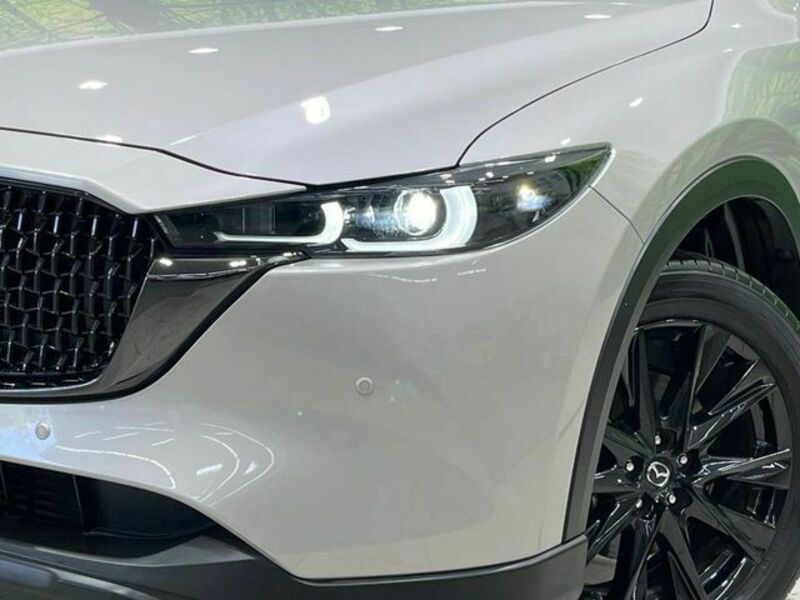 CX-8