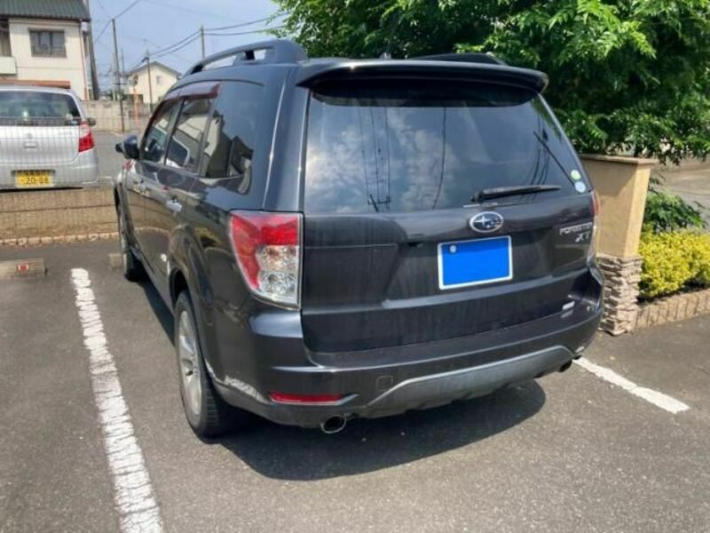FORESTER