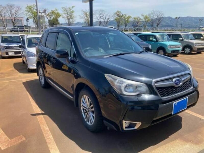 FORESTER