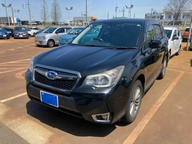 FORESTER