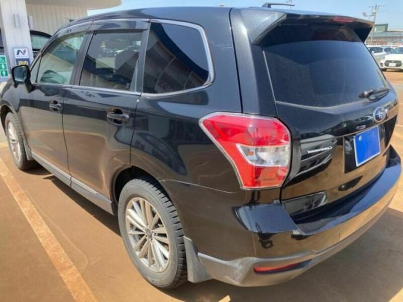 FORESTER