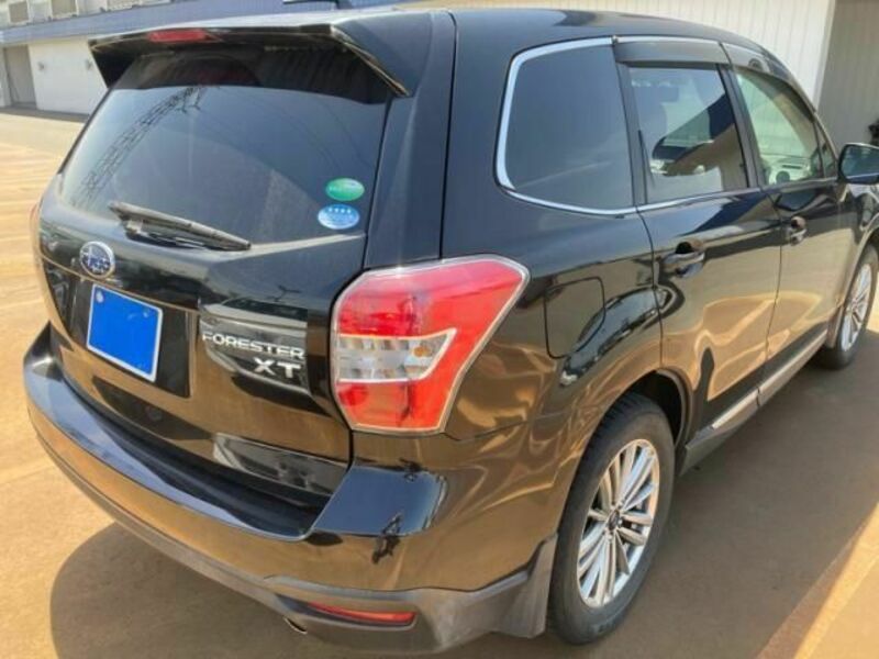 FORESTER