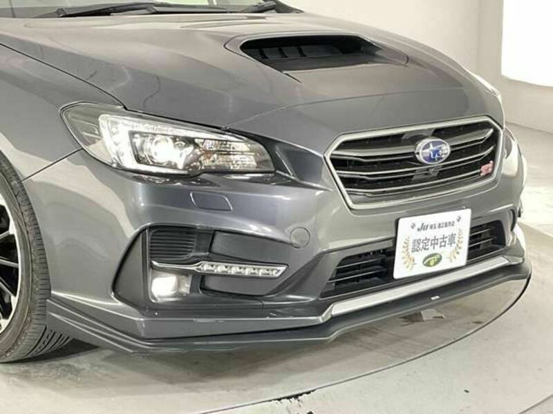 LEVORG