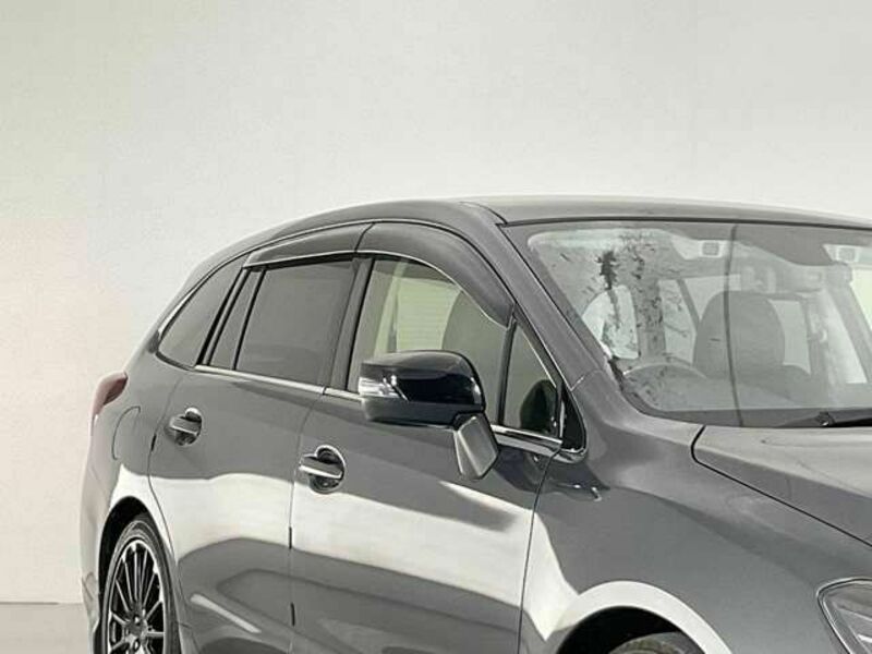 LEVORG
