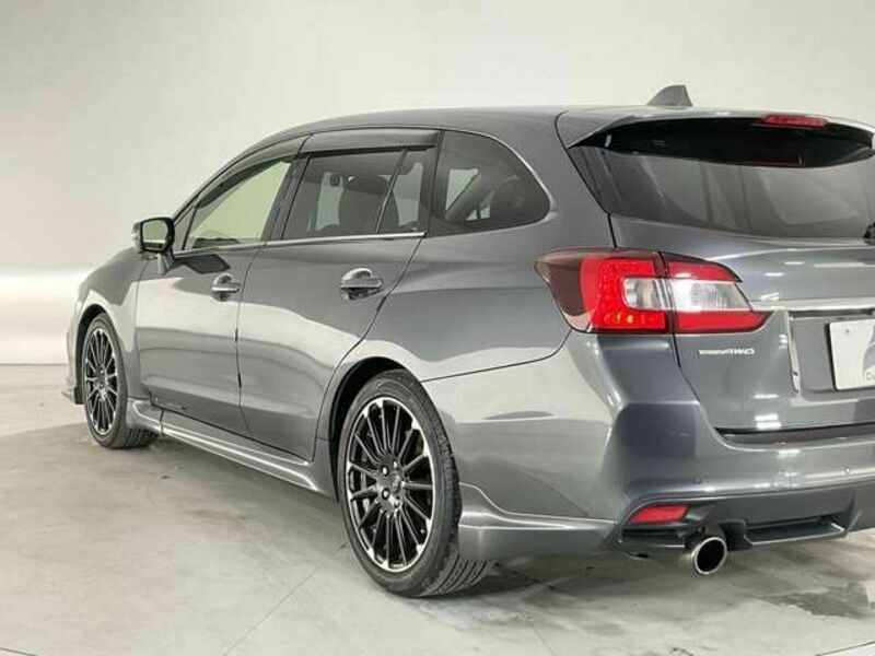 LEVORG