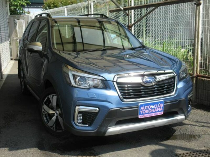 FORESTER