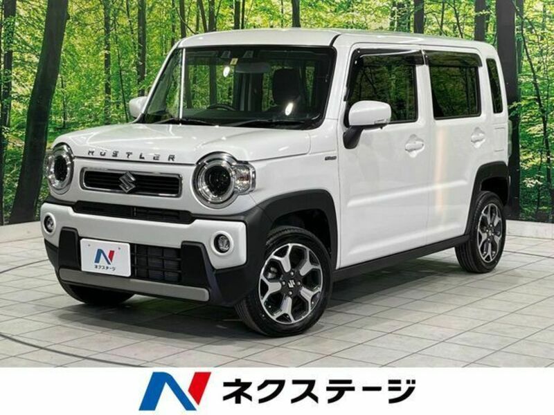 SUZUKI HUSTLER