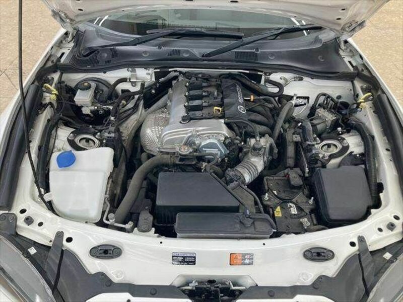 ROADSTER