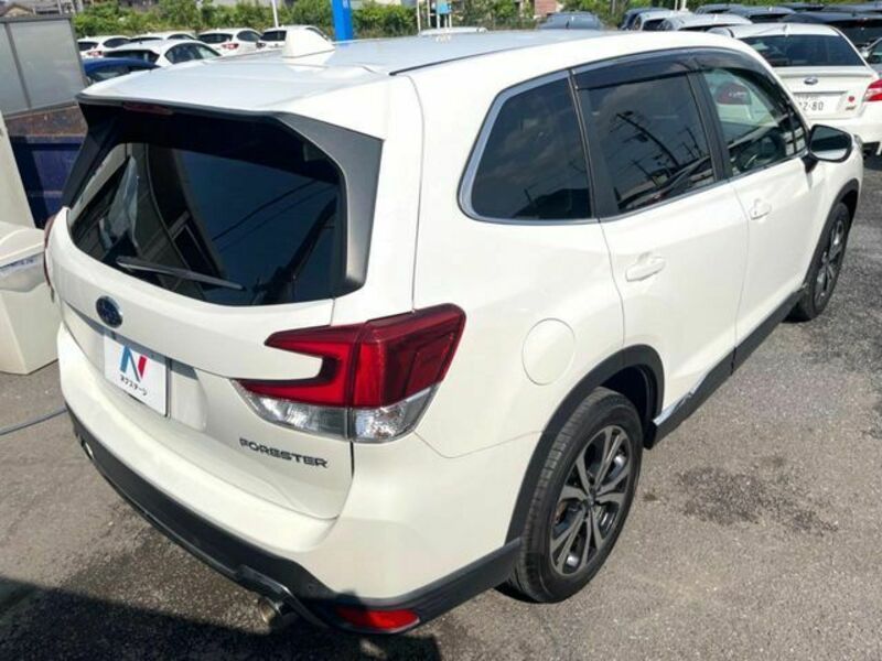 FORESTER