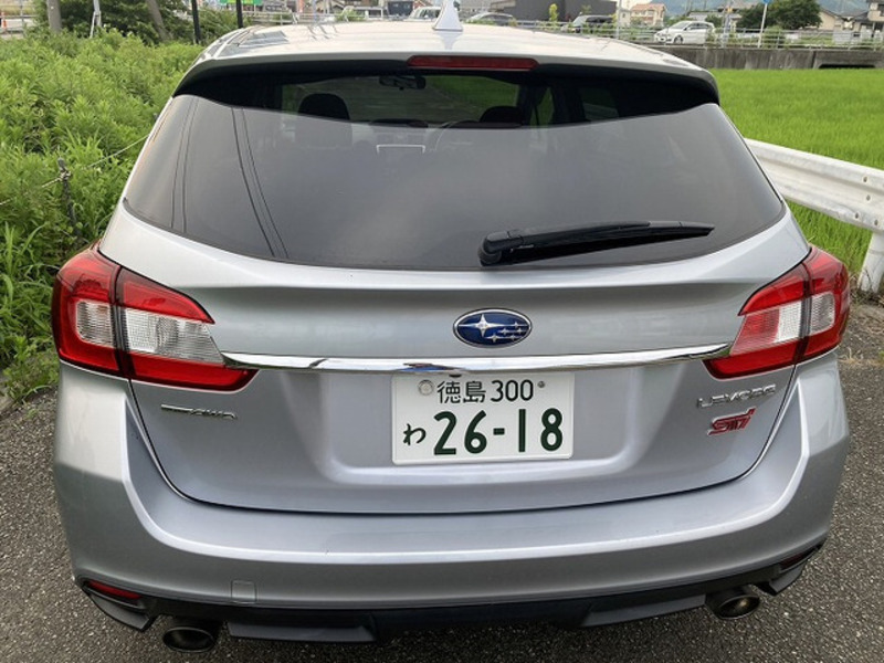 LEVORG