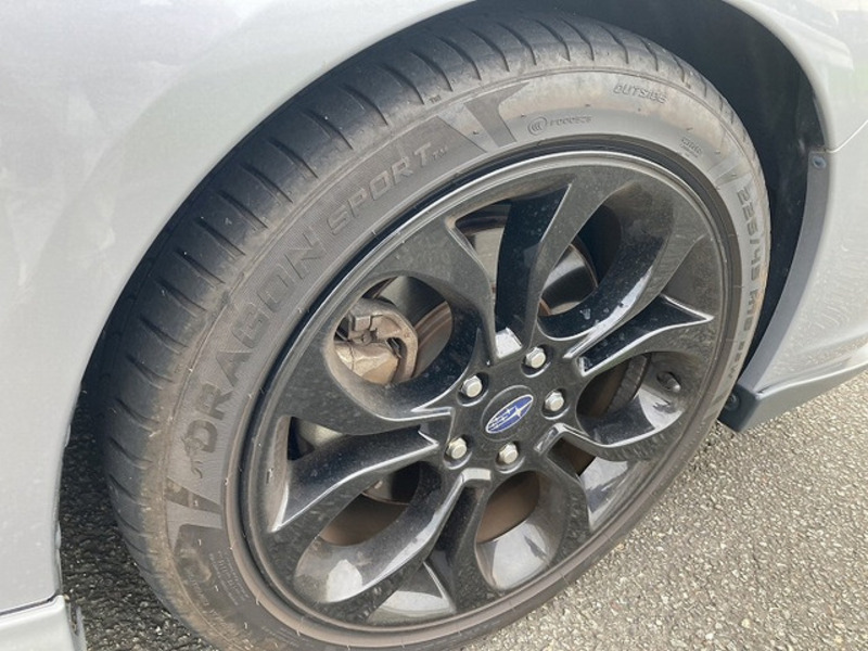 LEVORG