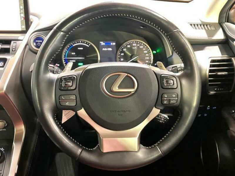 NX