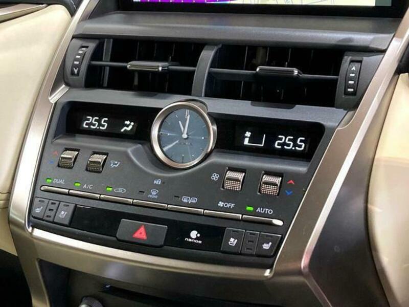 NX