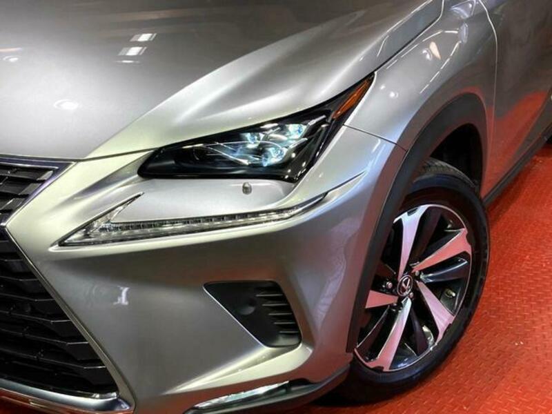 NX