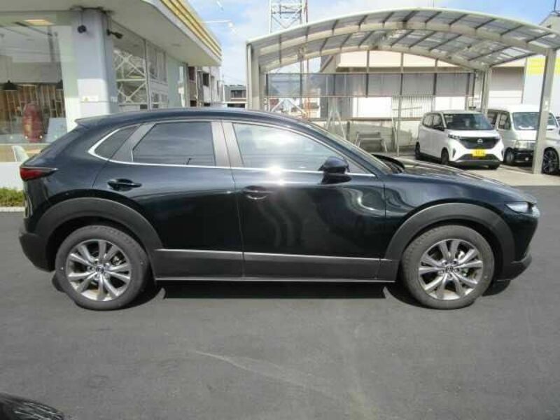 CX-30