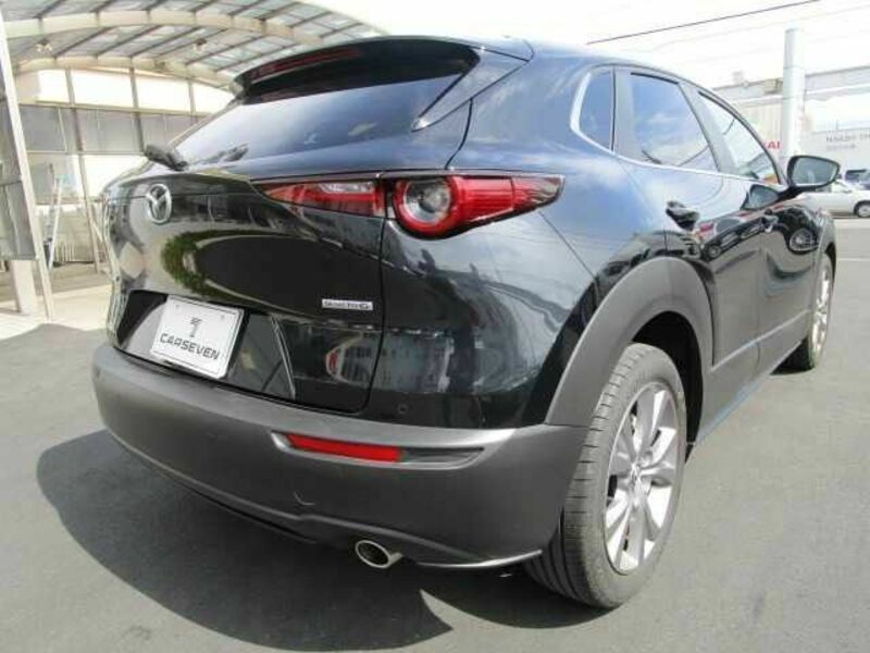 CX-30