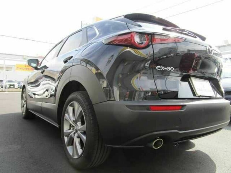 CX-30