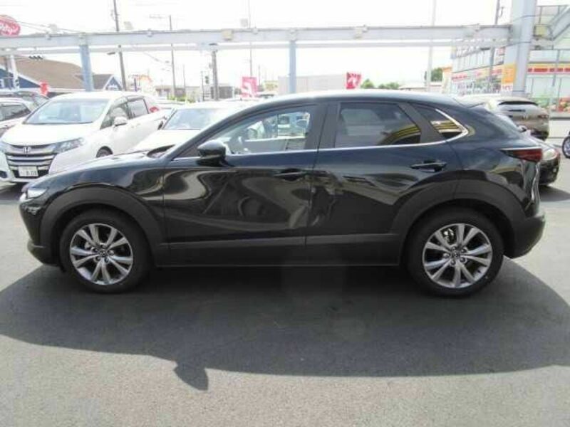 CX-30
