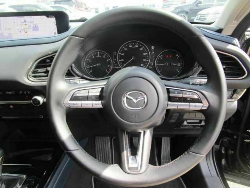 CX-30
