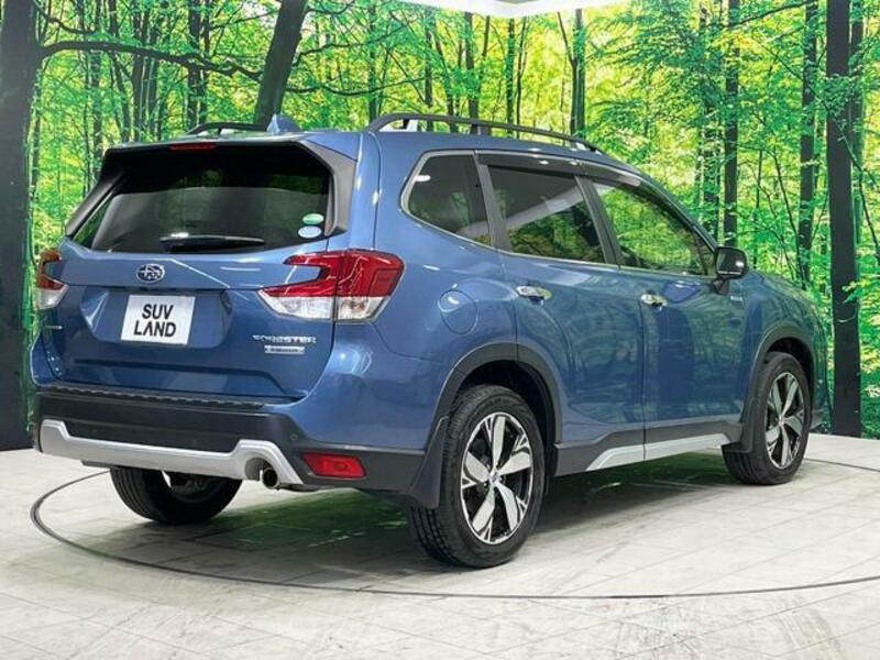 FORESTER