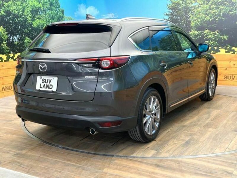 CX-8
