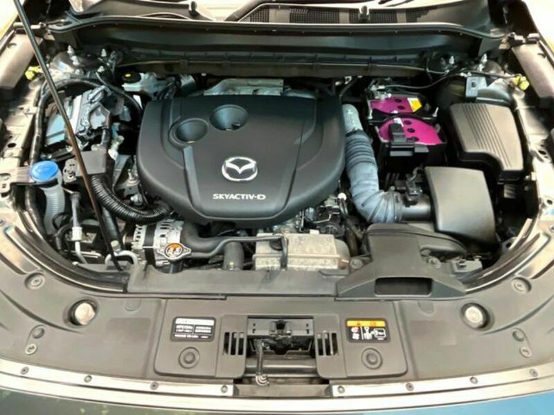 CX-8