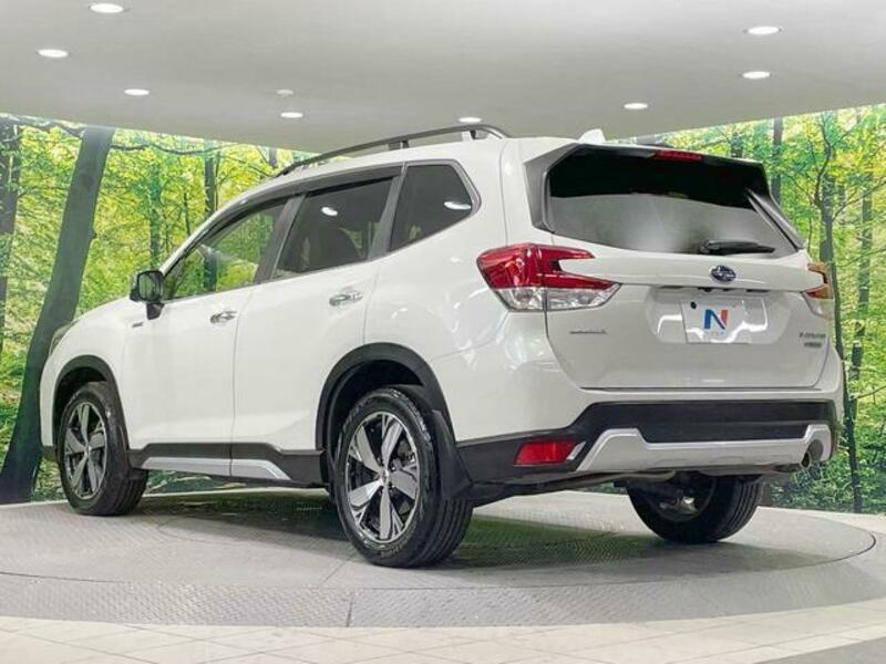 FORESTER