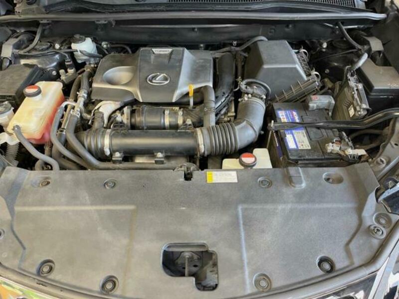 NX