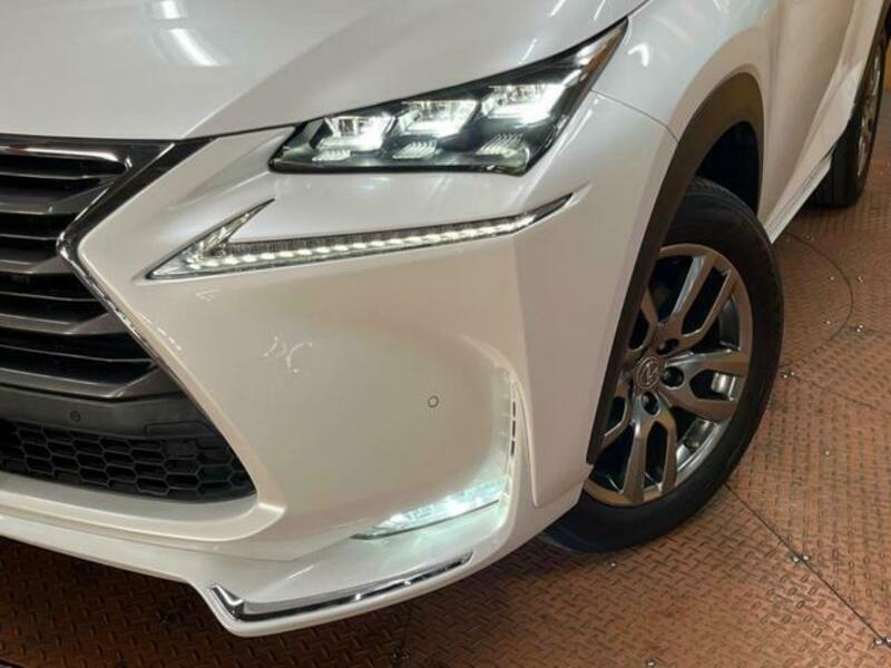 NX