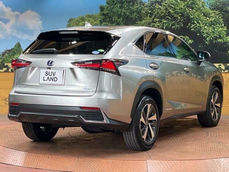 NX