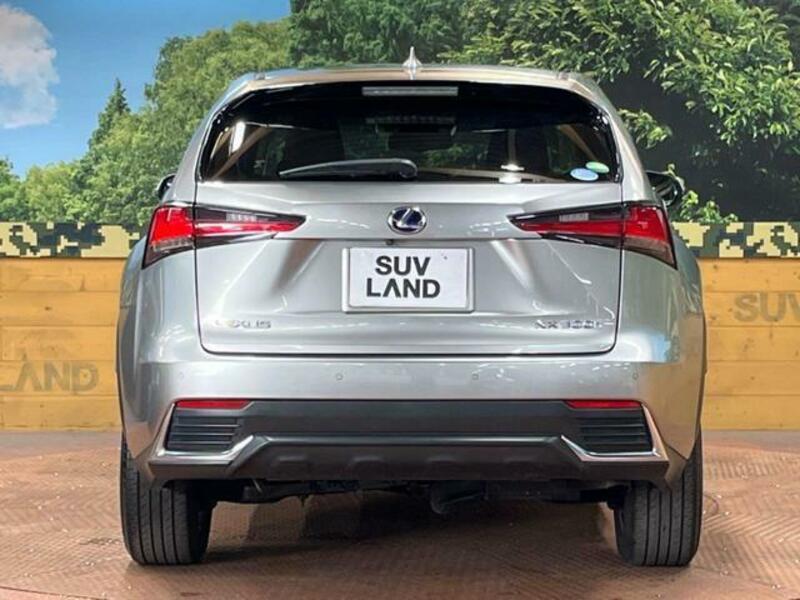 NX