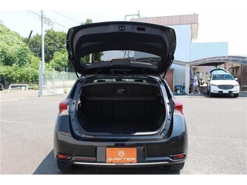 AURIS HYBRID