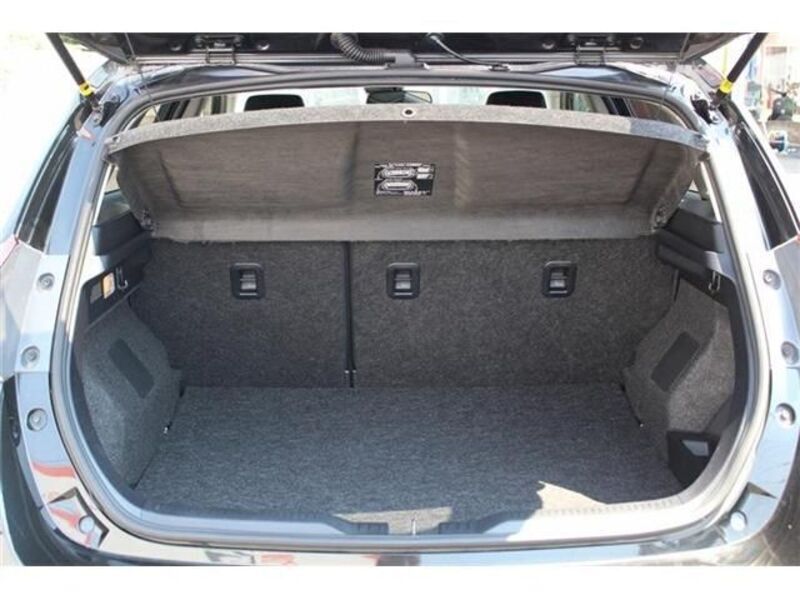 AURIS HYBRID