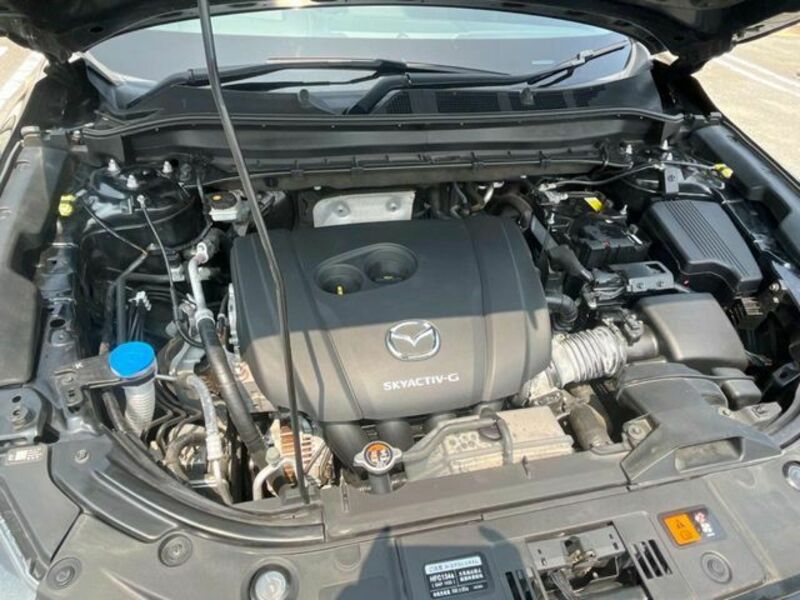 CX-8