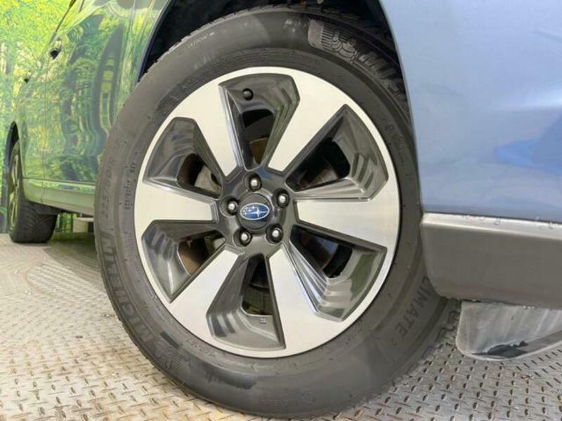 FORESTER