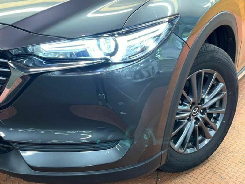 CX-8