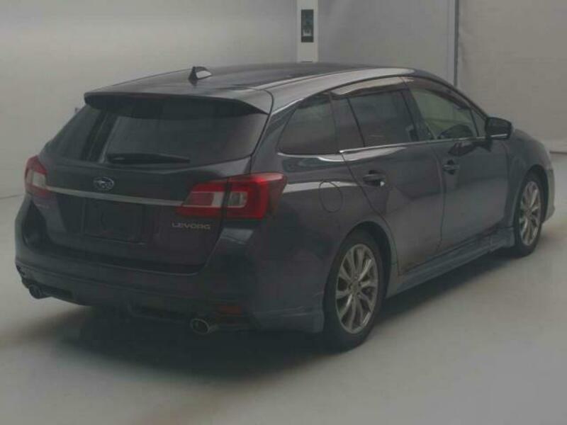 LEVORG