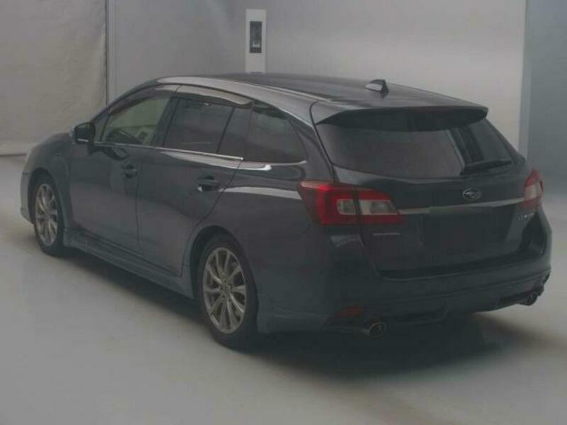 LEVORG