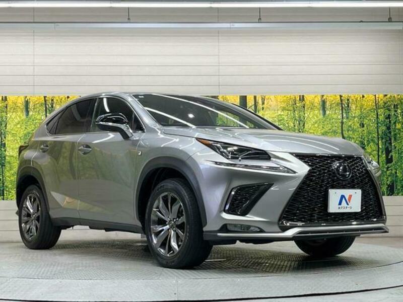 NX