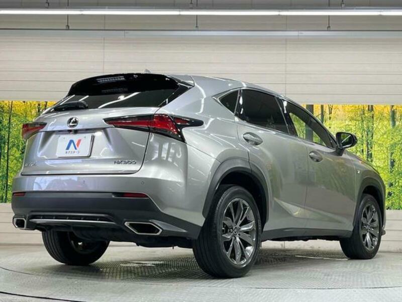 NX