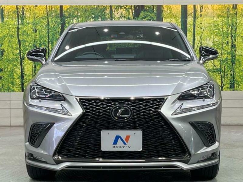 NX