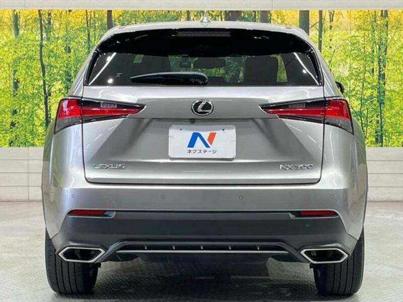 NX