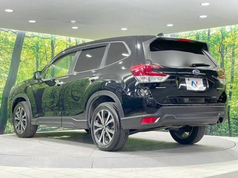 FORESTER