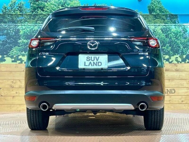 CX-8