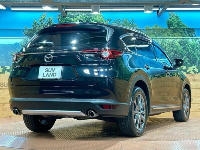 CX-8